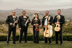 Musicians with instruments posing outdoors against a mountain landscape backdrop.