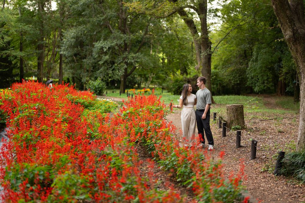 Couple walking hand in hand along a path lined with red flowers in a green park.