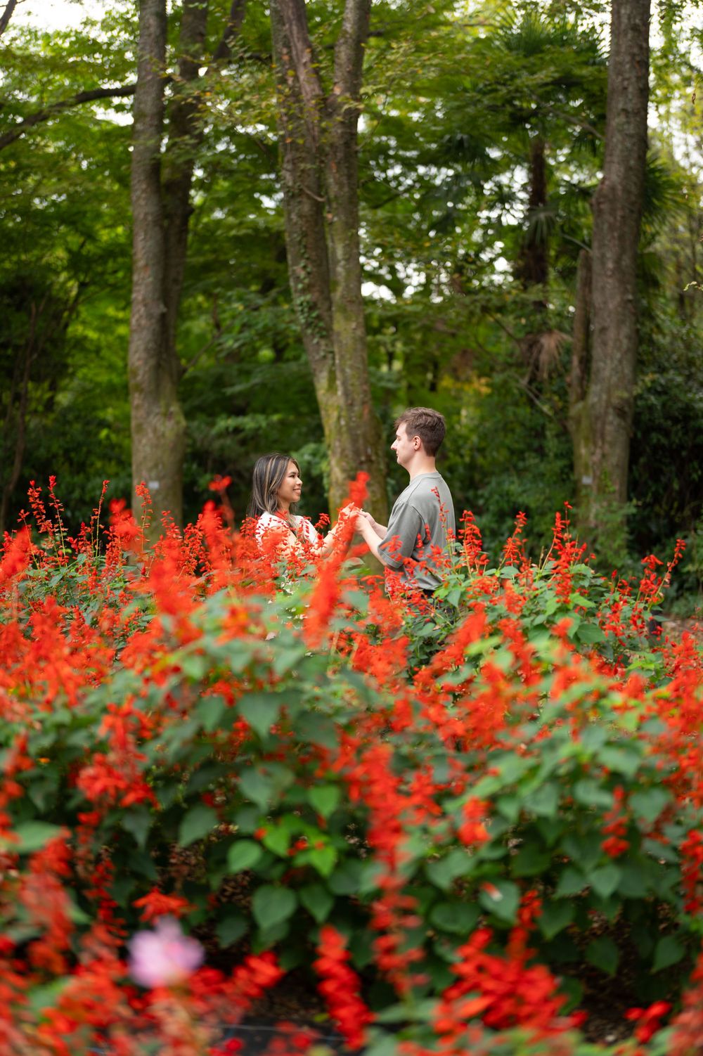 Couple holding hands among vibrant red salvia flowers in a lush green garden.
