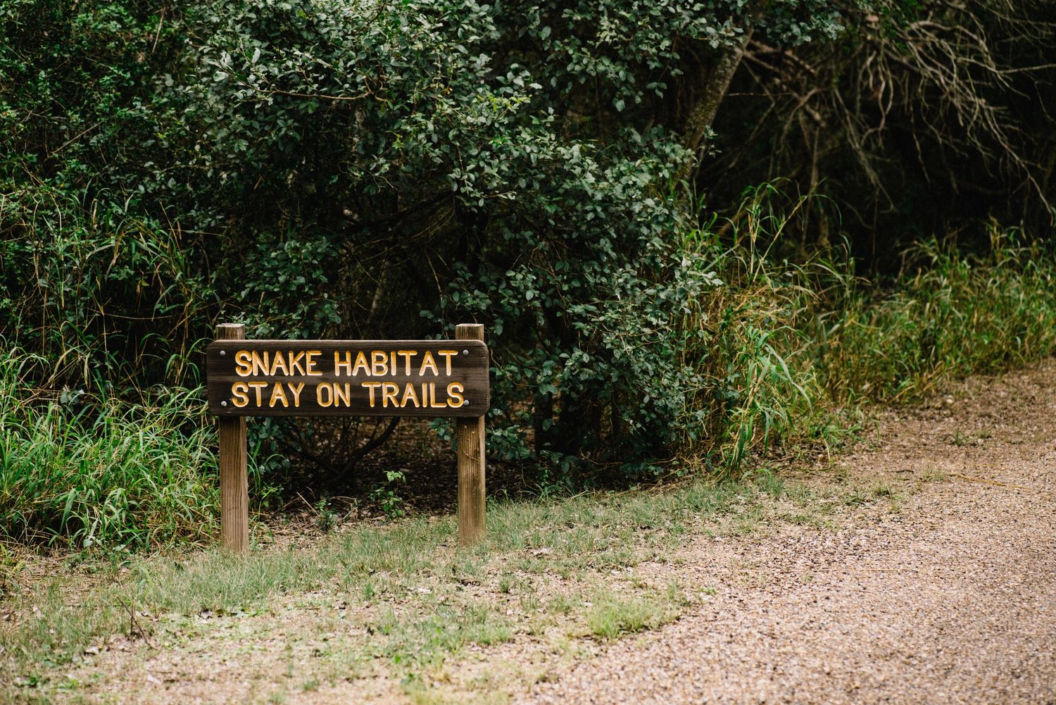Resaca de la Palma State Park