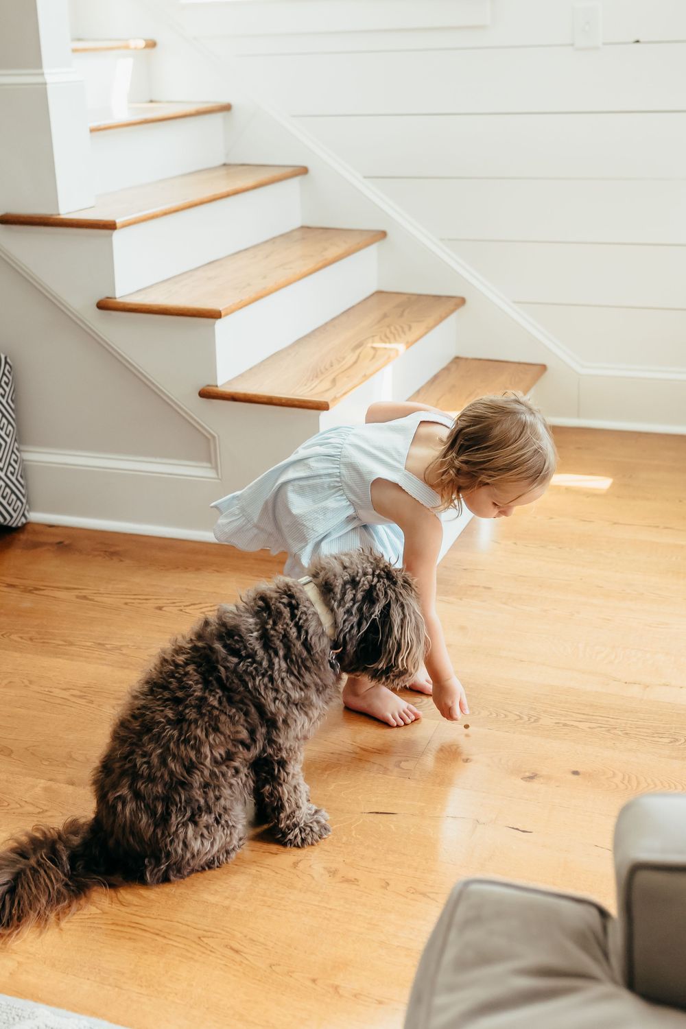 Toddler girl in a white dress bending down to pet a fluffy brown dog on hardwood floors near wooden staircase.