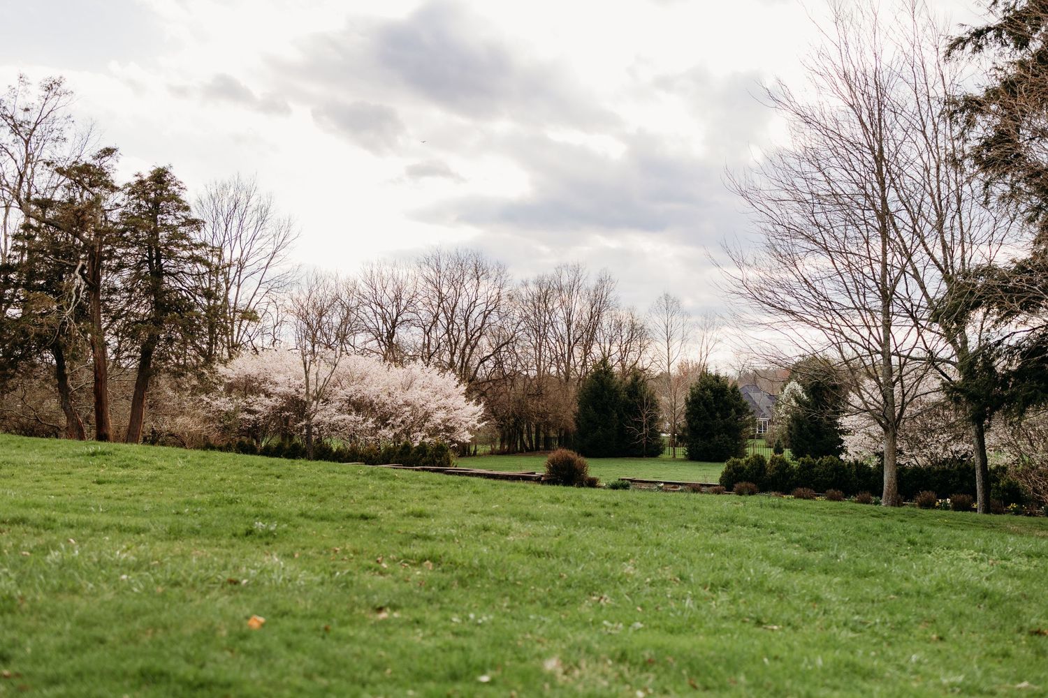 Lush green lawn with blooming spring trees and overcast sky in a peaceful countryside setting.