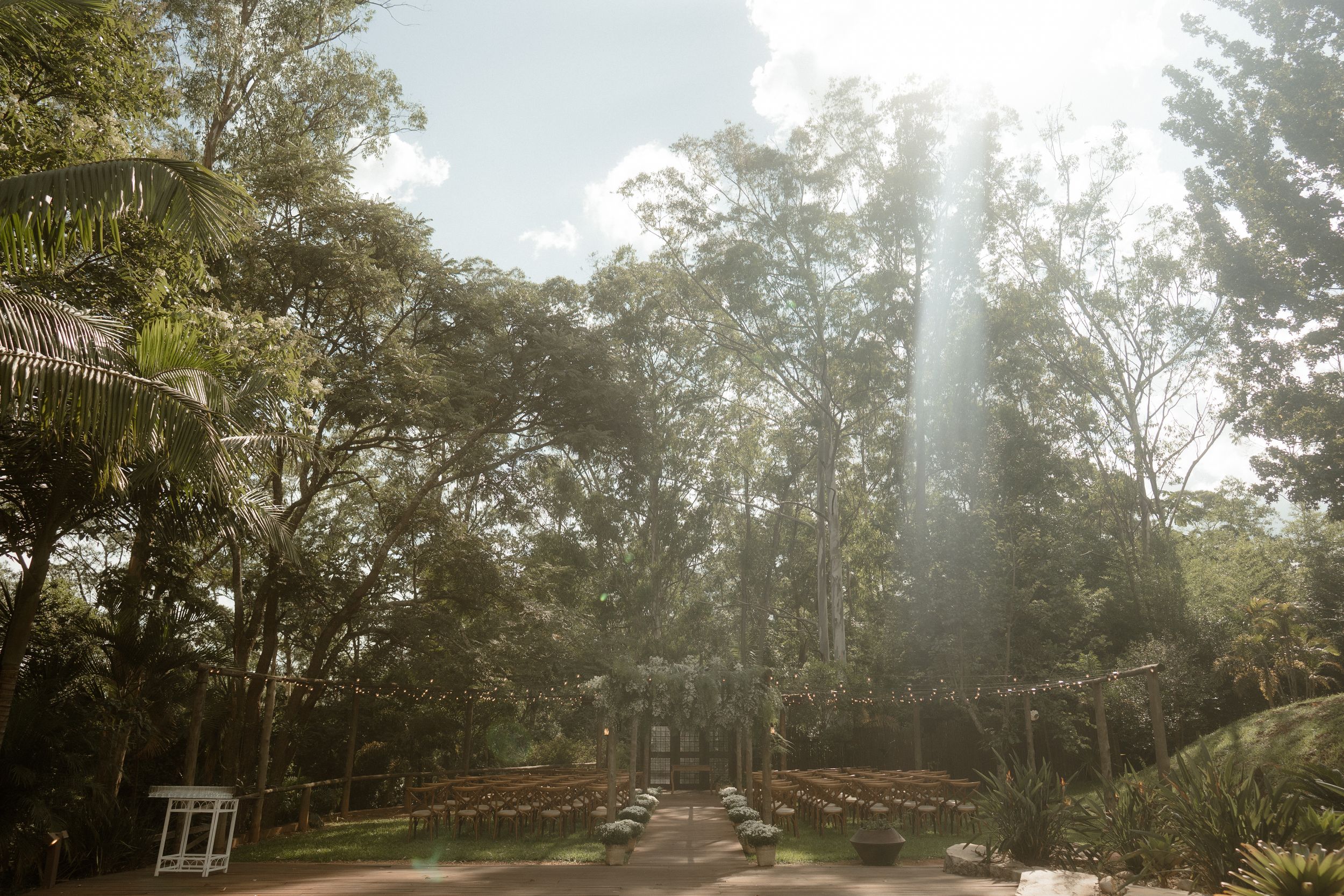 Panoramic view of a wooded outdoor venue with string lights and trees creating a magical forest atmosphere.