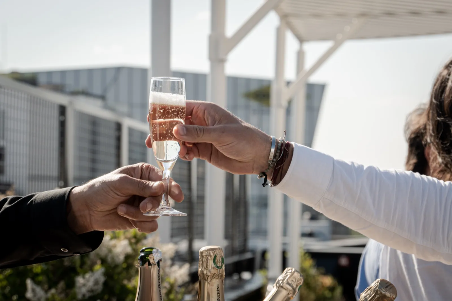 Deux mains trinquant à l’extérieur avec des coupes de champagne, lumière de fin d’après-midi.