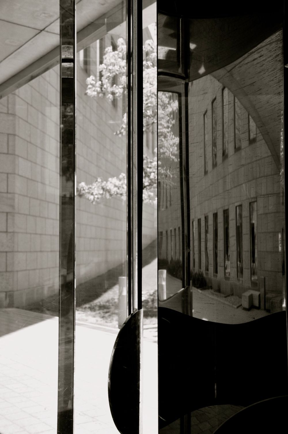 Black and white urban photograph showing a partial silhouette against window glass reflecting brick buildings and flowers outside.