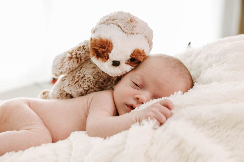 Sweet sleeping baby cuddled up with a plush sloth toy on cozy white bedding.