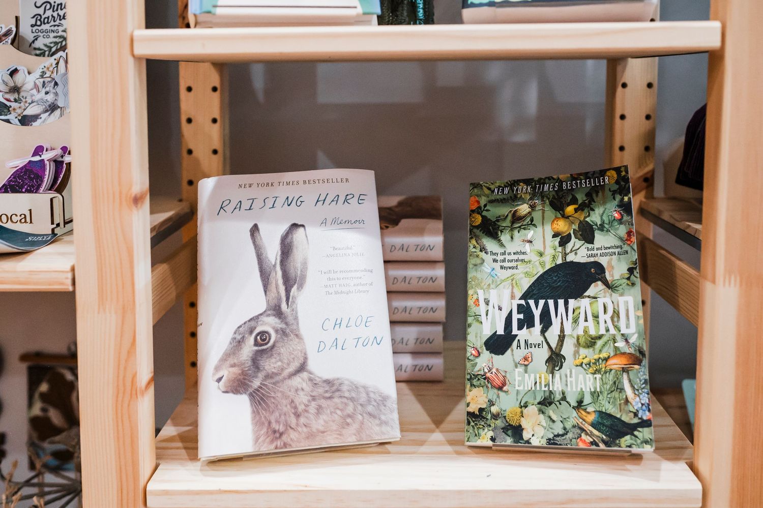 Two books displayed on a wooden shelf, featuring a hare illustration and 'Eyewitrah' titles.