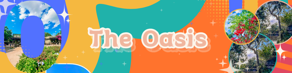 Vibrant teal and orange header banner design for The Oasis area with decorative theme park elements.