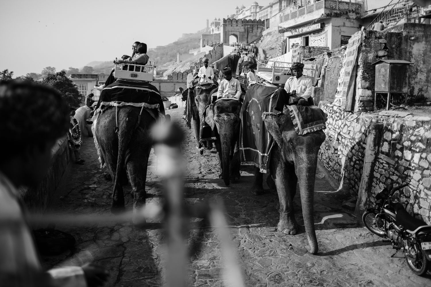 Jaipur, India | Rajasthan India | Amber Fort | Amer Amber Fort | Elephants
