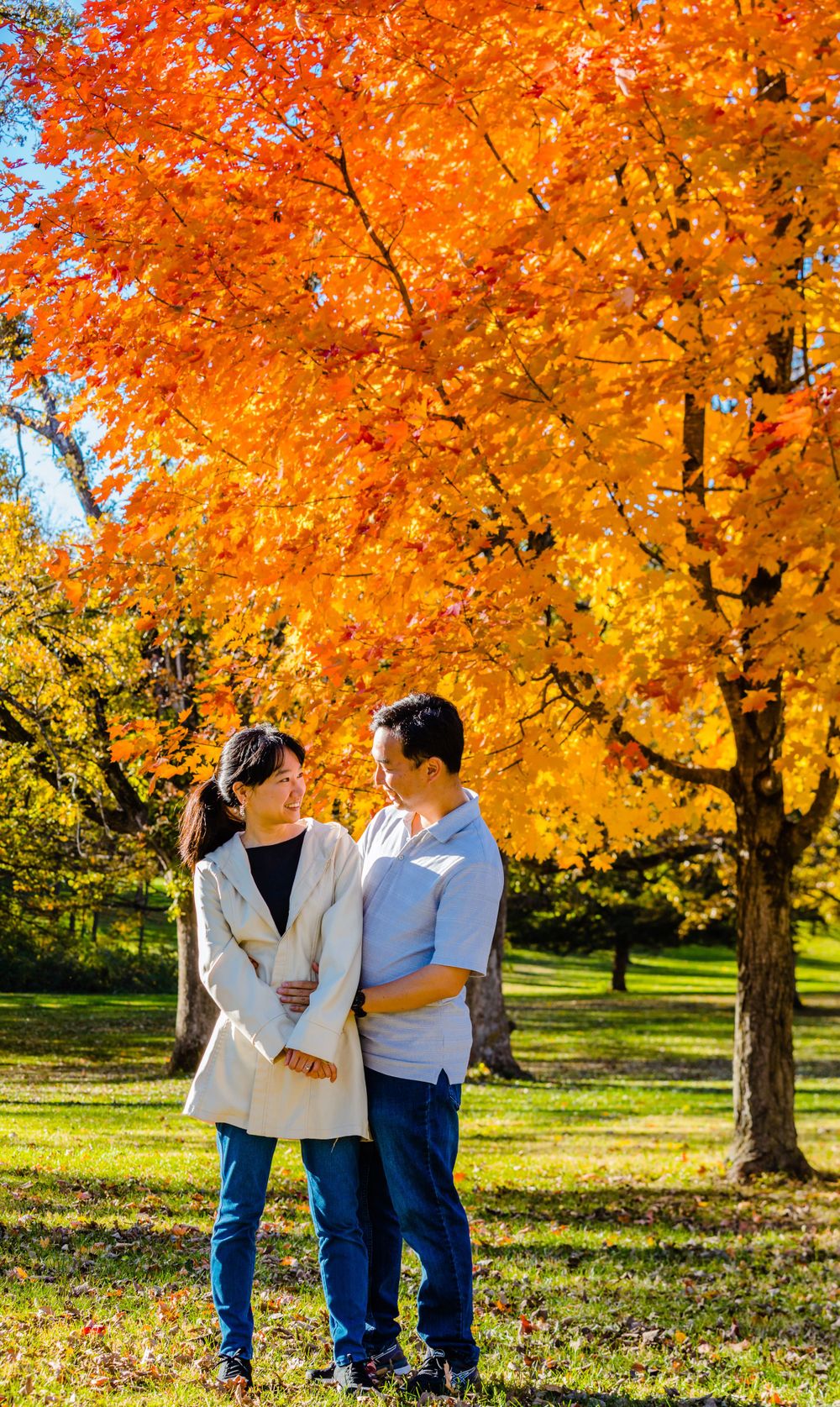 A couple stands together beneath vibrant orange autumn maple trees in a sunny park on a fall afternoon.