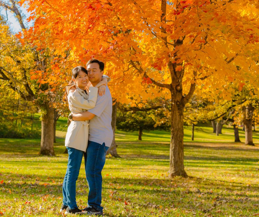 Two people embrace while standing in a park surrounded by vibrant orange and yellow fall foliage on a sunny day.