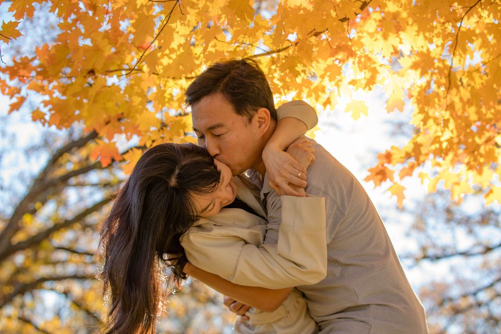 A romantic couple embraces under vibrant yellow autumn maple leaves on a sunny afternoon.