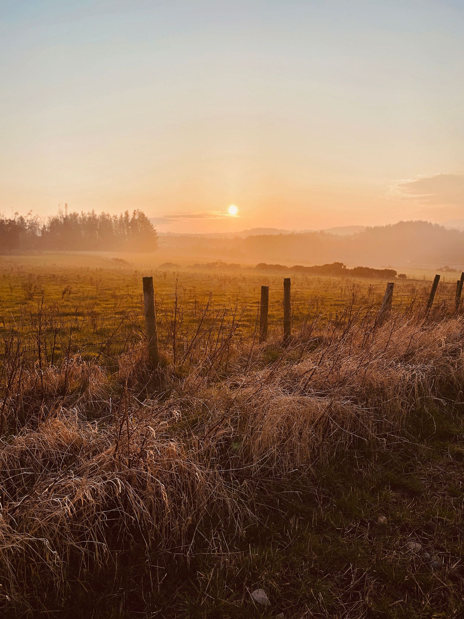 Golden sunset casting a warm glow over a peaceful field, creating a tranquil and reflective atmosphere perfect for therapeutic photography