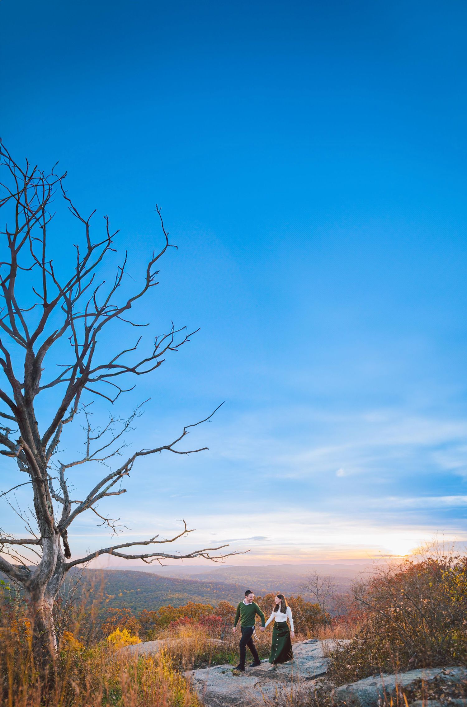 Stunning mountain landscape with bare trees and autumn colors during sunset.