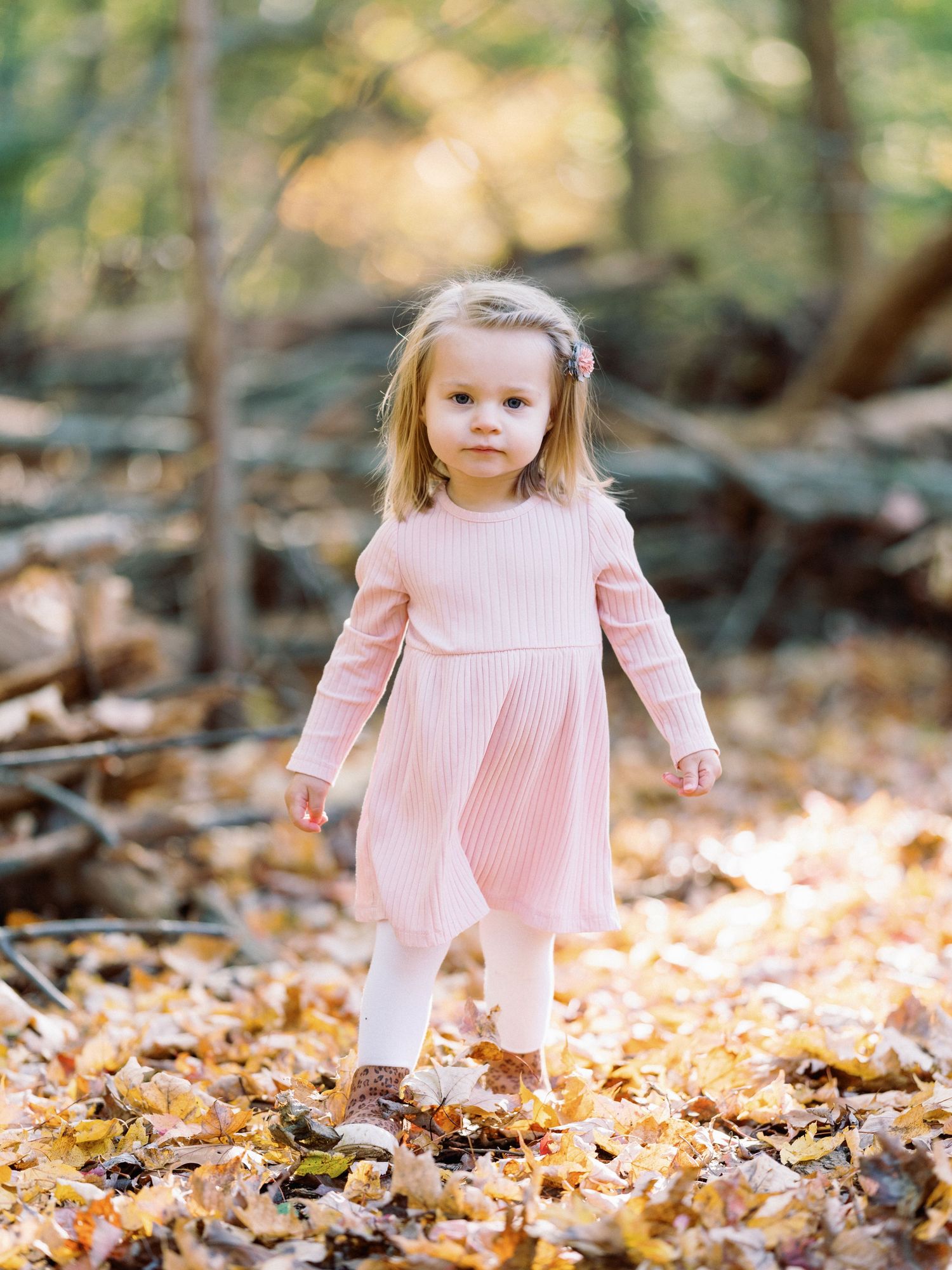 Toddler girl in pink dress standing among autumn leaves in a forest setting.
