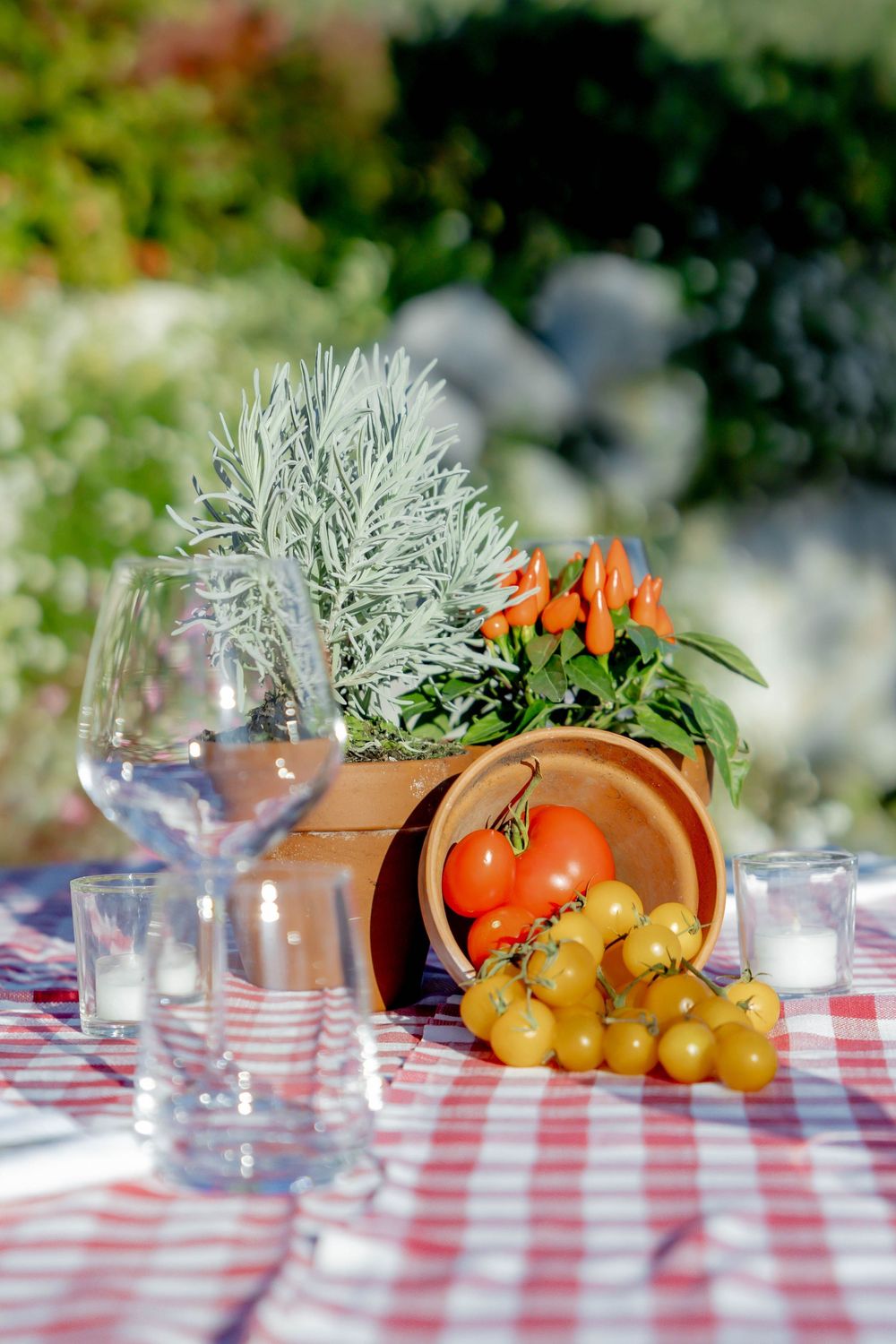 Outdoor garden table with red checkered cloth, wine glass, tomatoes, yellow grapes, and potted herbs in bright sunlight.
