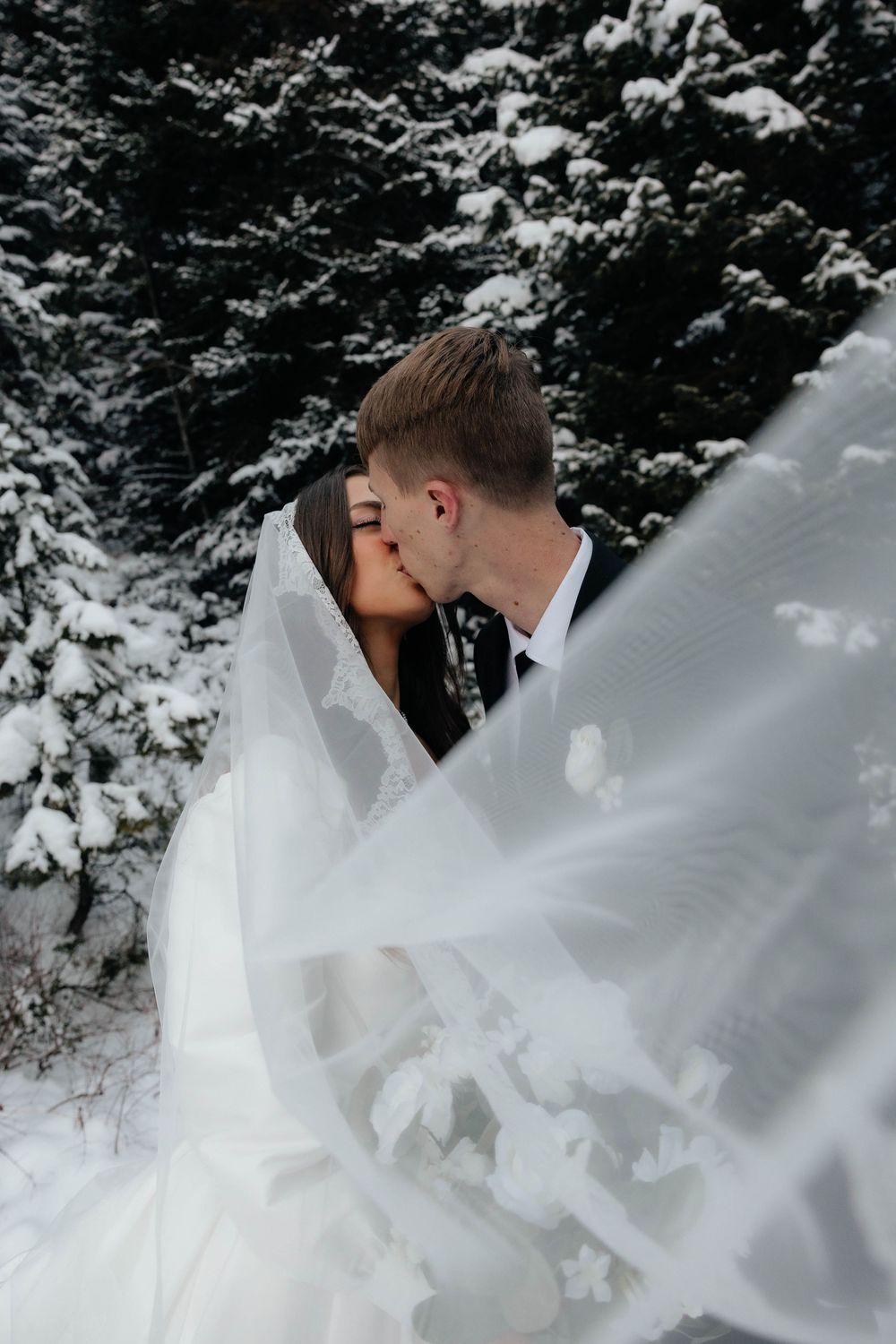 Bride and groom share romantic kiss behind flowing veil in snow-covered pine forest setting.