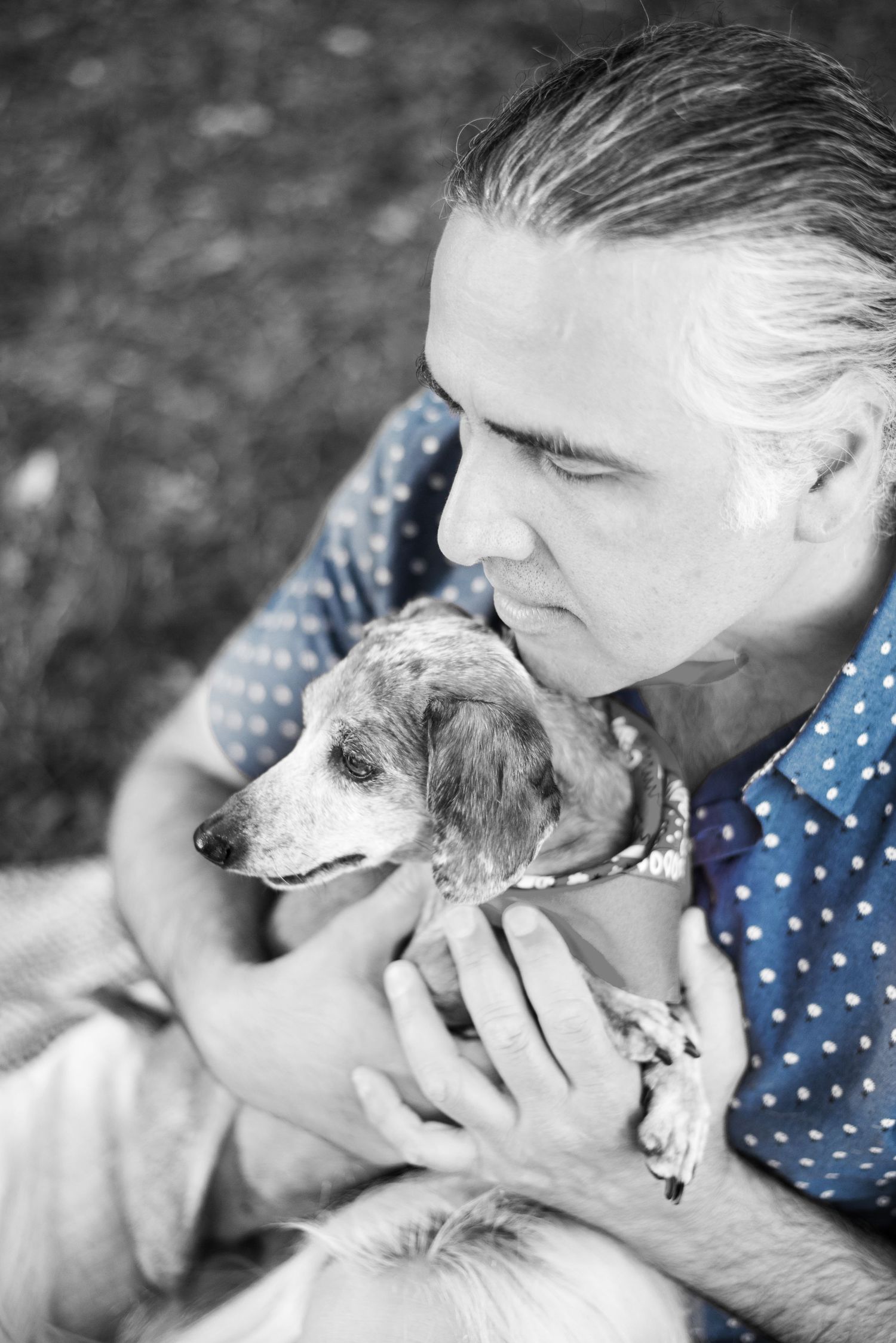 Man lovingly holding a small dachshund at a sunny St. Petersburg, Florida park.