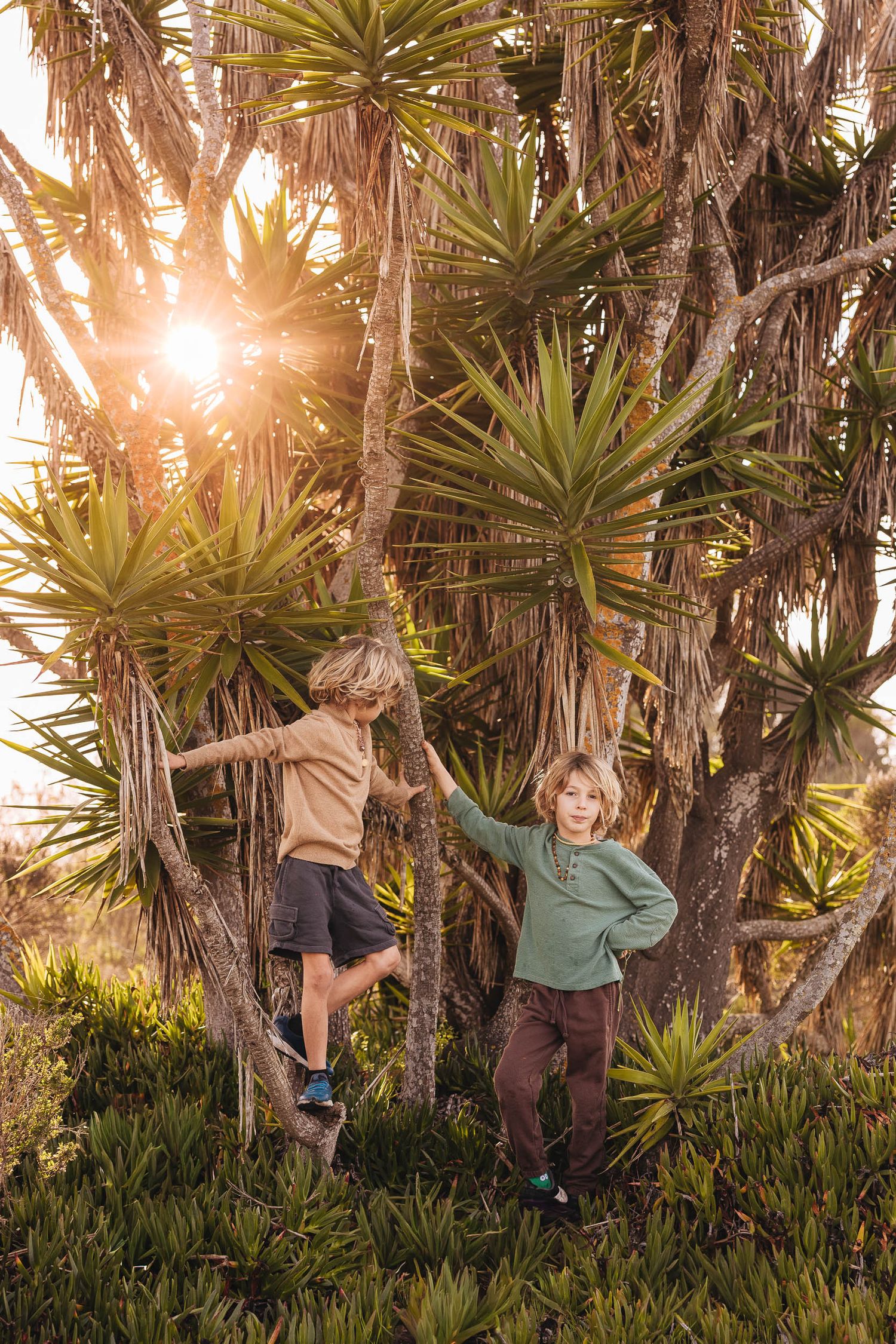 Two children playing among tropical palm trees in golden sunset light, wearing casual outdoor clothing in a lush garden.