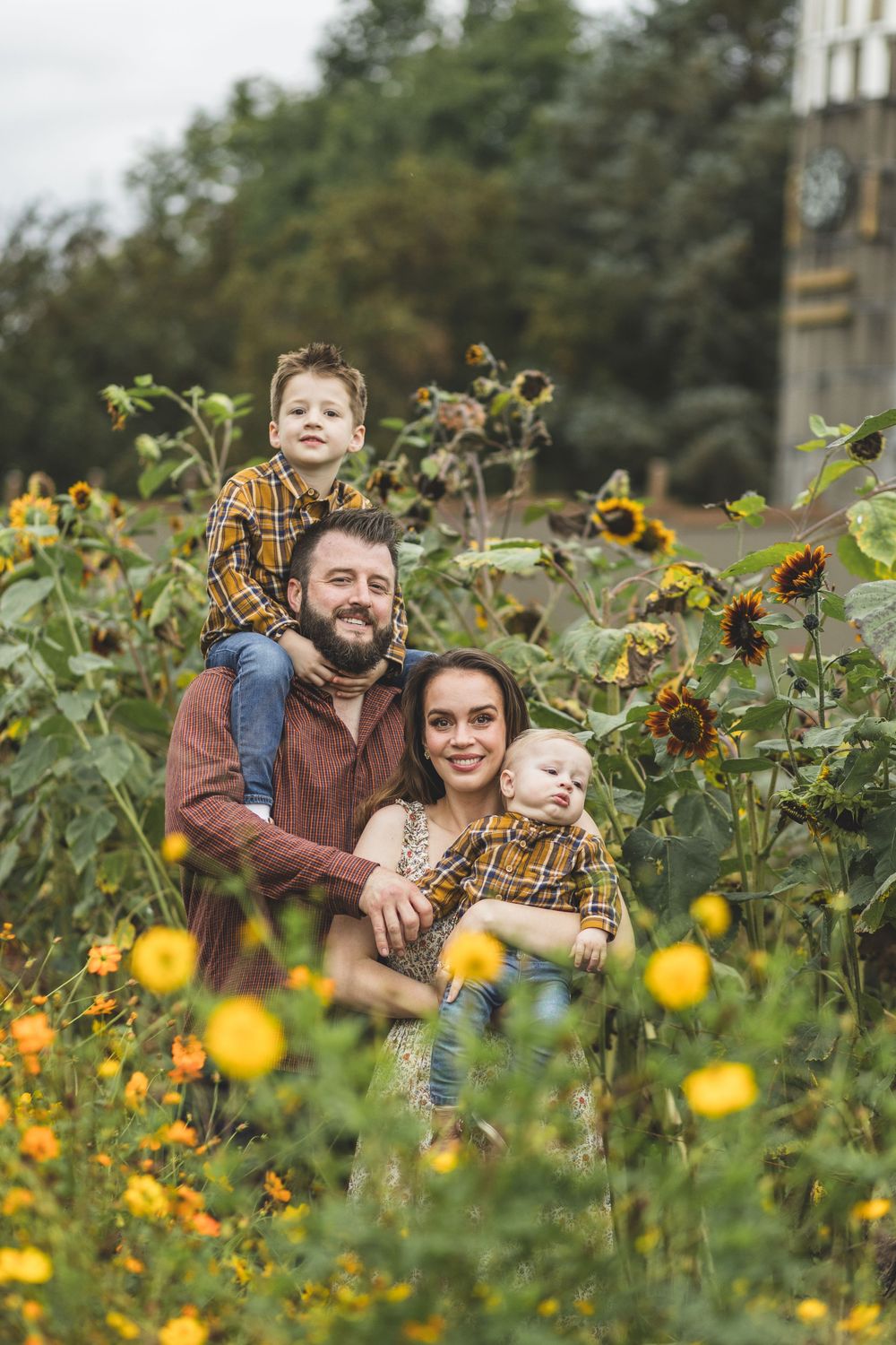 Family of four posing among sunflowers in a garden, father carrying son on shoulders, mother holding baby.