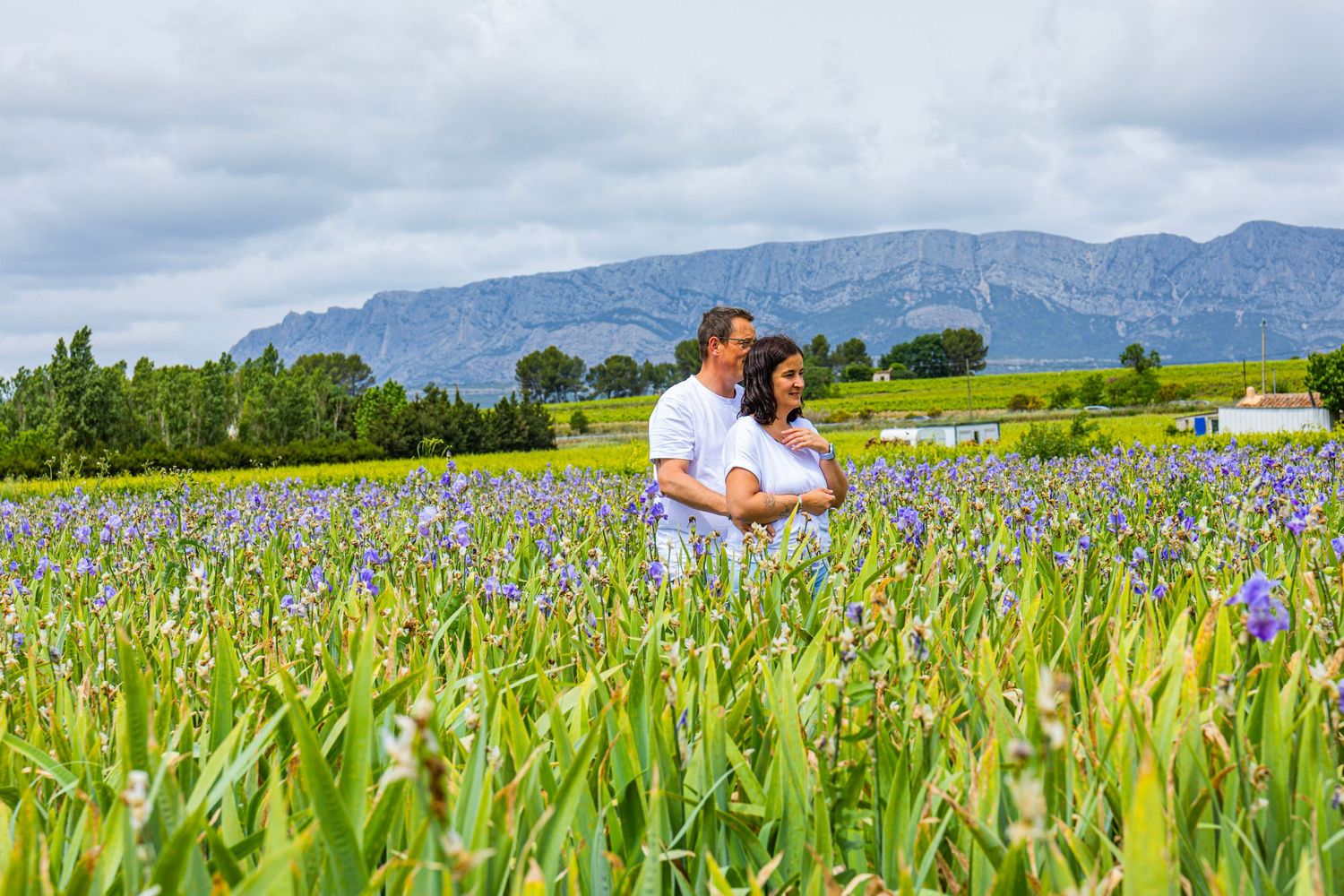 Famille assise dans un champ d’iris avec la Sainte-Victoire en arrière-plan