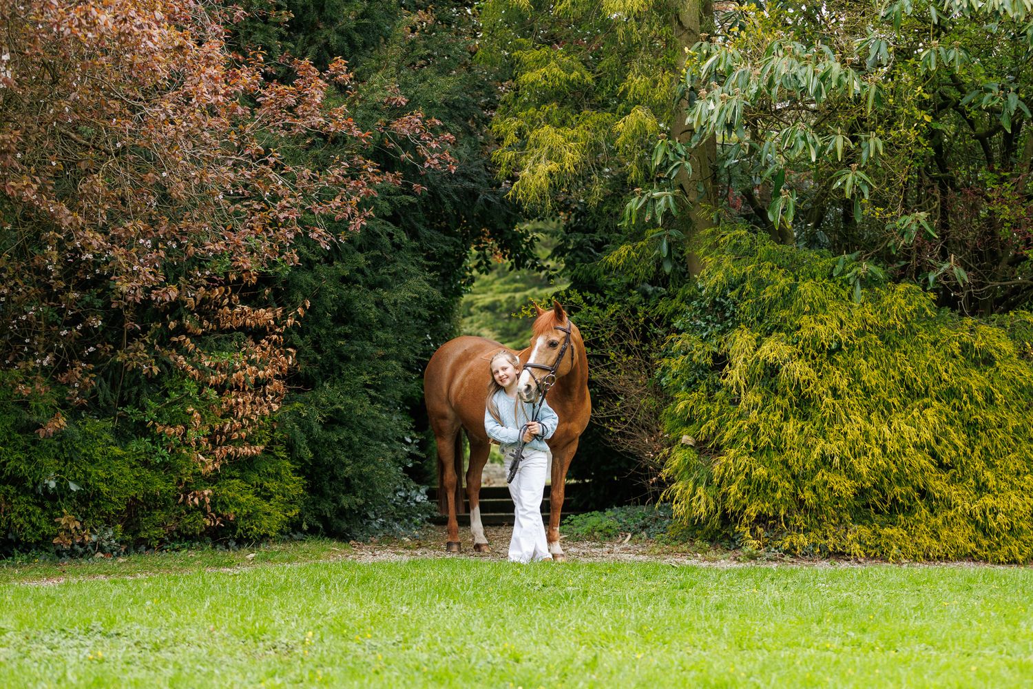 A Paint horse stands on a tree-lined path covered in fallen autumn leaves during a fall photo session.