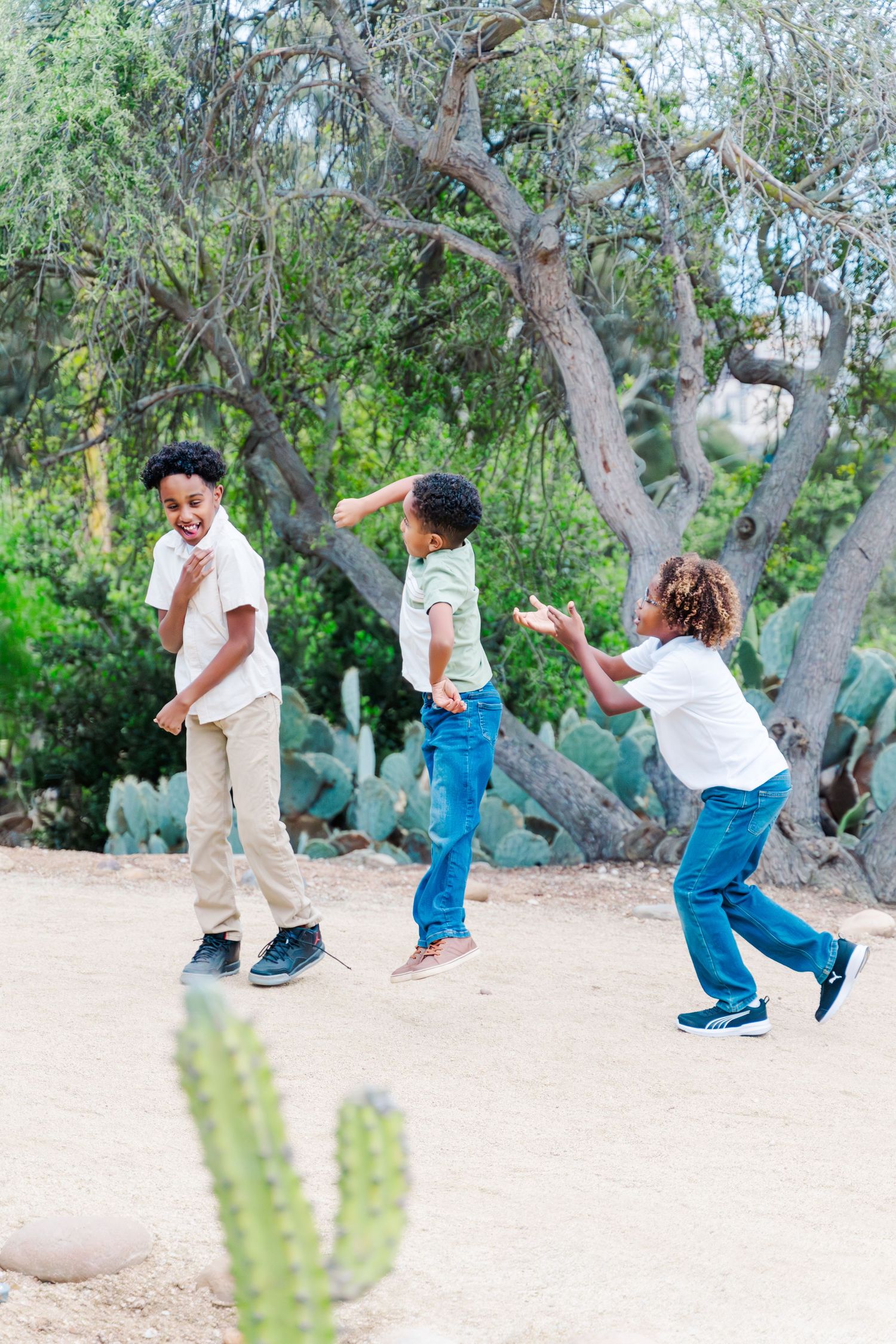 Three people dancing and playing in a desert garden setting with cactus and green trees in the background.