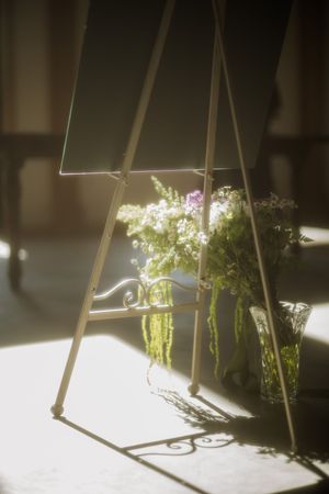 Delicate flowers in a vase casting dramatic shadows through a geometric frame.