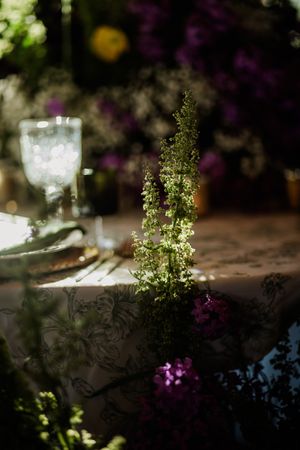 Romantic table setting with crystal glasses and purple flowers in moody lighting.