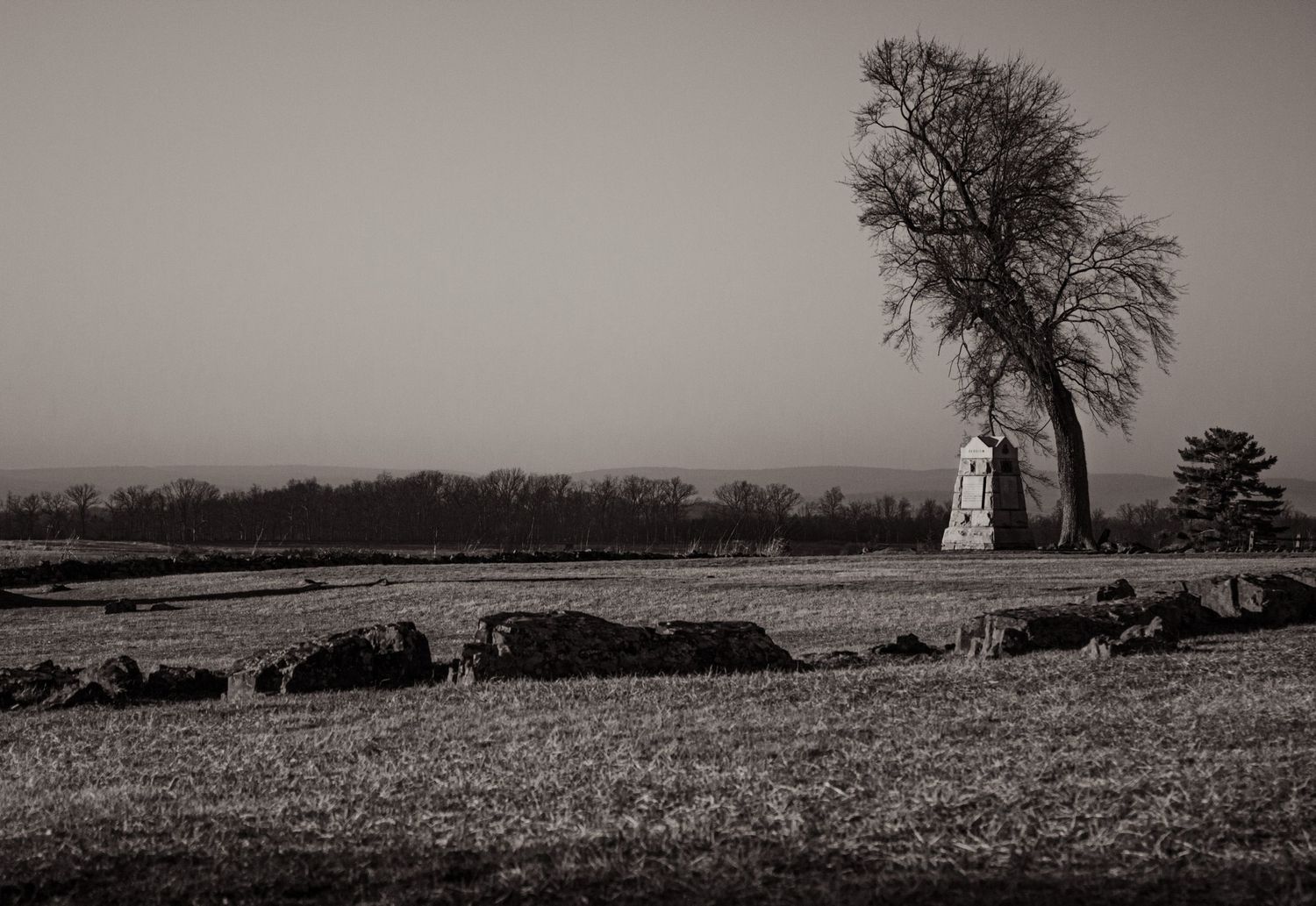 freelancer, South Carolina, photographer, fine art, wedding, commercial, nature, reenactment, gallery, freelance, monochrome, bridge, groom