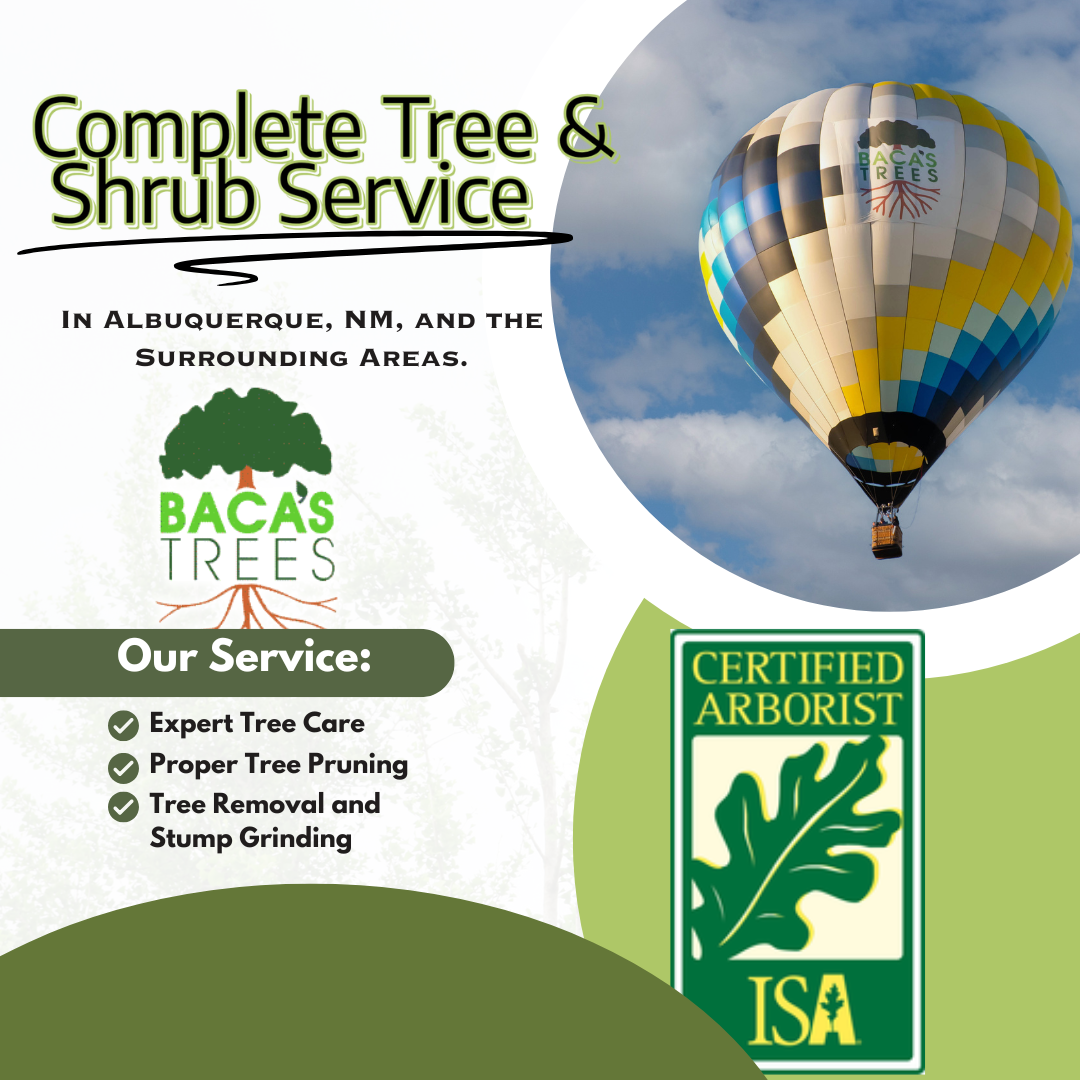 Hot air balloon soars in blue sky next to tree service company logo promoting certified arborist services in Albuquerque.