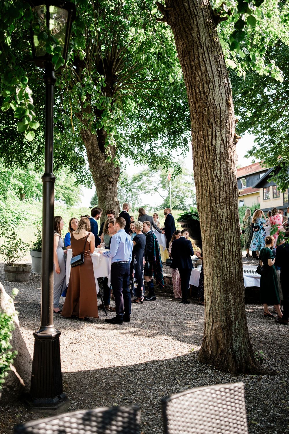 A group of wedding guests gathered under large shade trees on a gravel path during an outdoor reception.