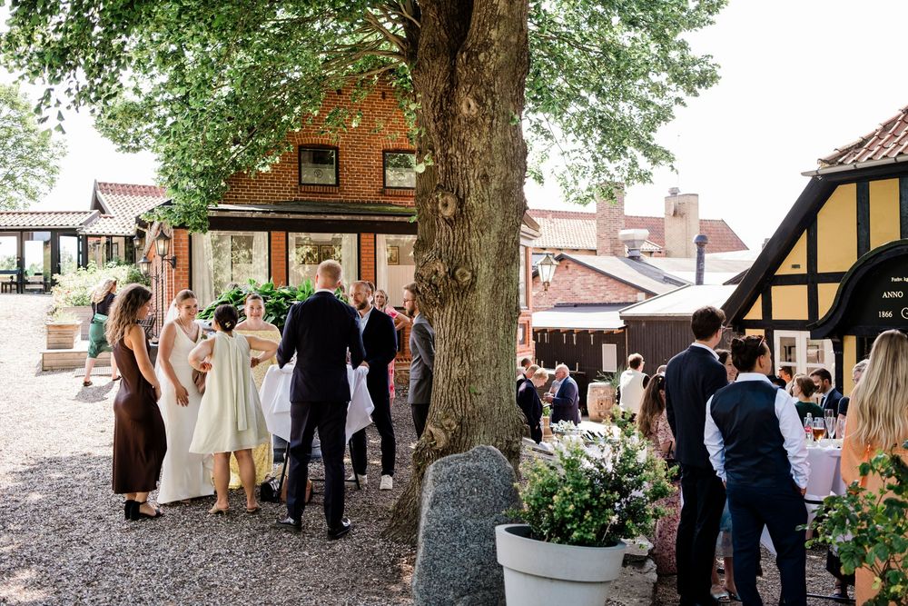 Small outdoor gathering with potted plants and trees in a rustic courtyard setting near a building entrance.