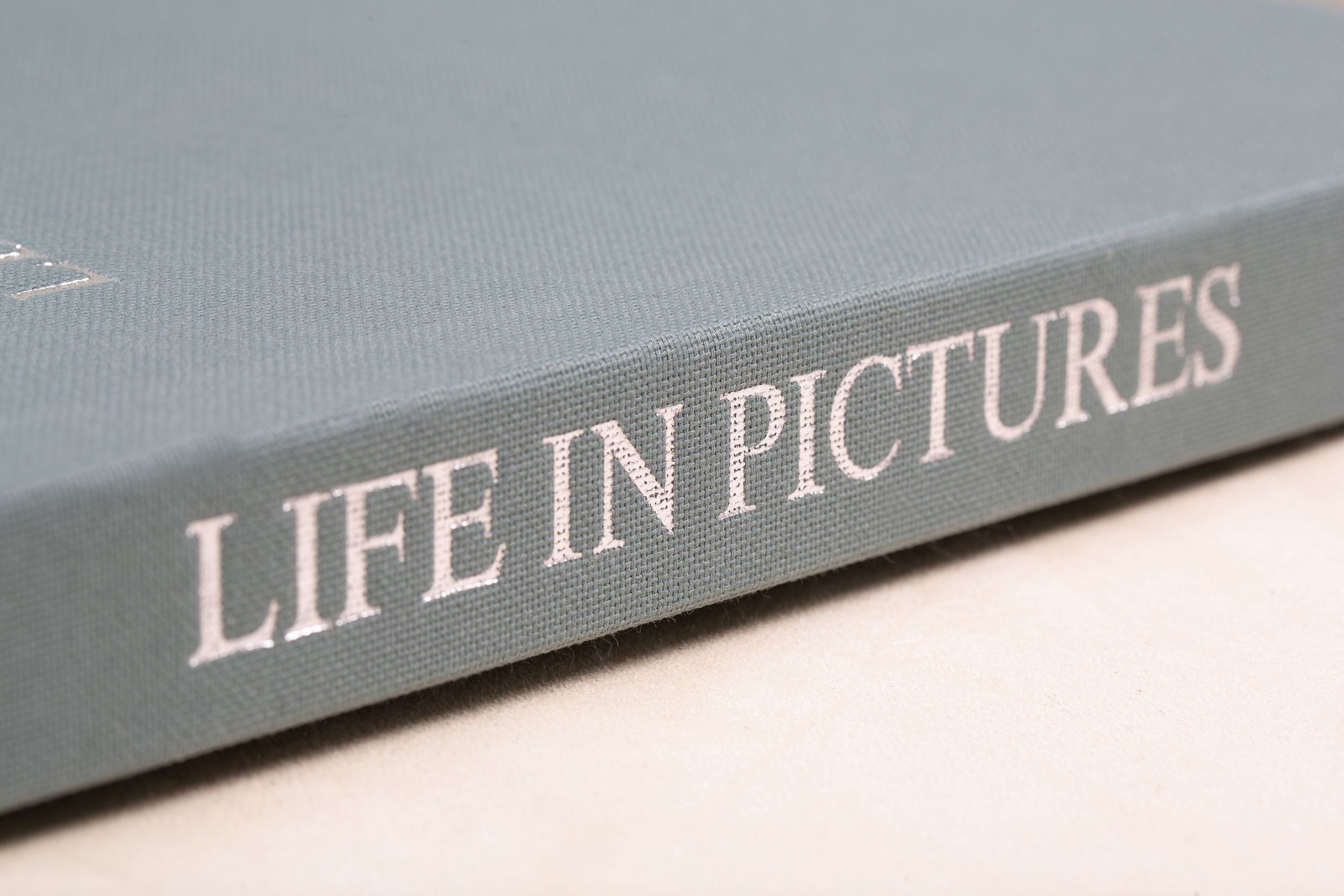 Close-up view of a gray book spine with the title 'LIFE IN PICTURES' in silver text against a neutral background.