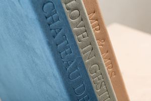 Close-up view of stacked books showing text along their spines in blue and tan colors.