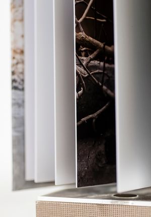 Close-up view of white vertical blinds with dark contrasting background creating a modern geometric pattern.