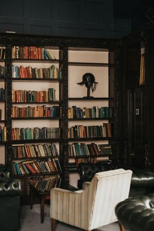 A cozy reading nook with floor-to-ceiling bookshelves, leather sofas, and a striped armchair in a dimly lit room.