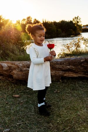 Small child in white sweater holds red flower while exploring outdoors at sunset.
