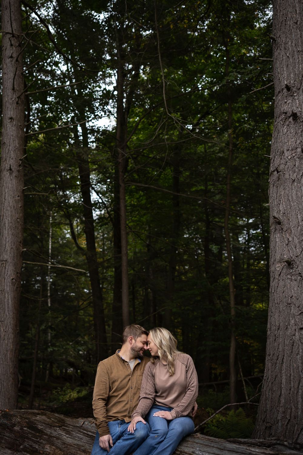 A romantic couple sits together on a log in a serene forest setting during an outdoor photo session.