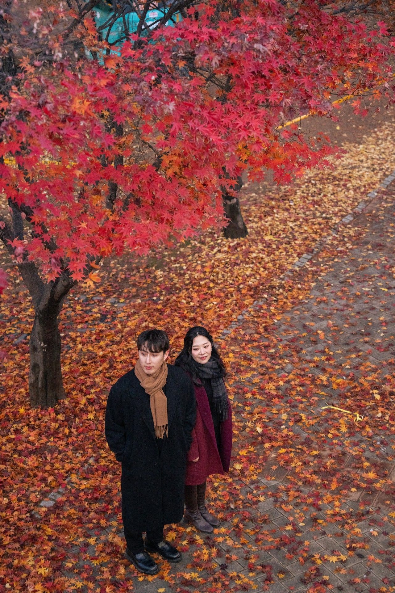 Two people stand beneath vibrant red autumn maple trees with fallen leaves covering the ground in a park.