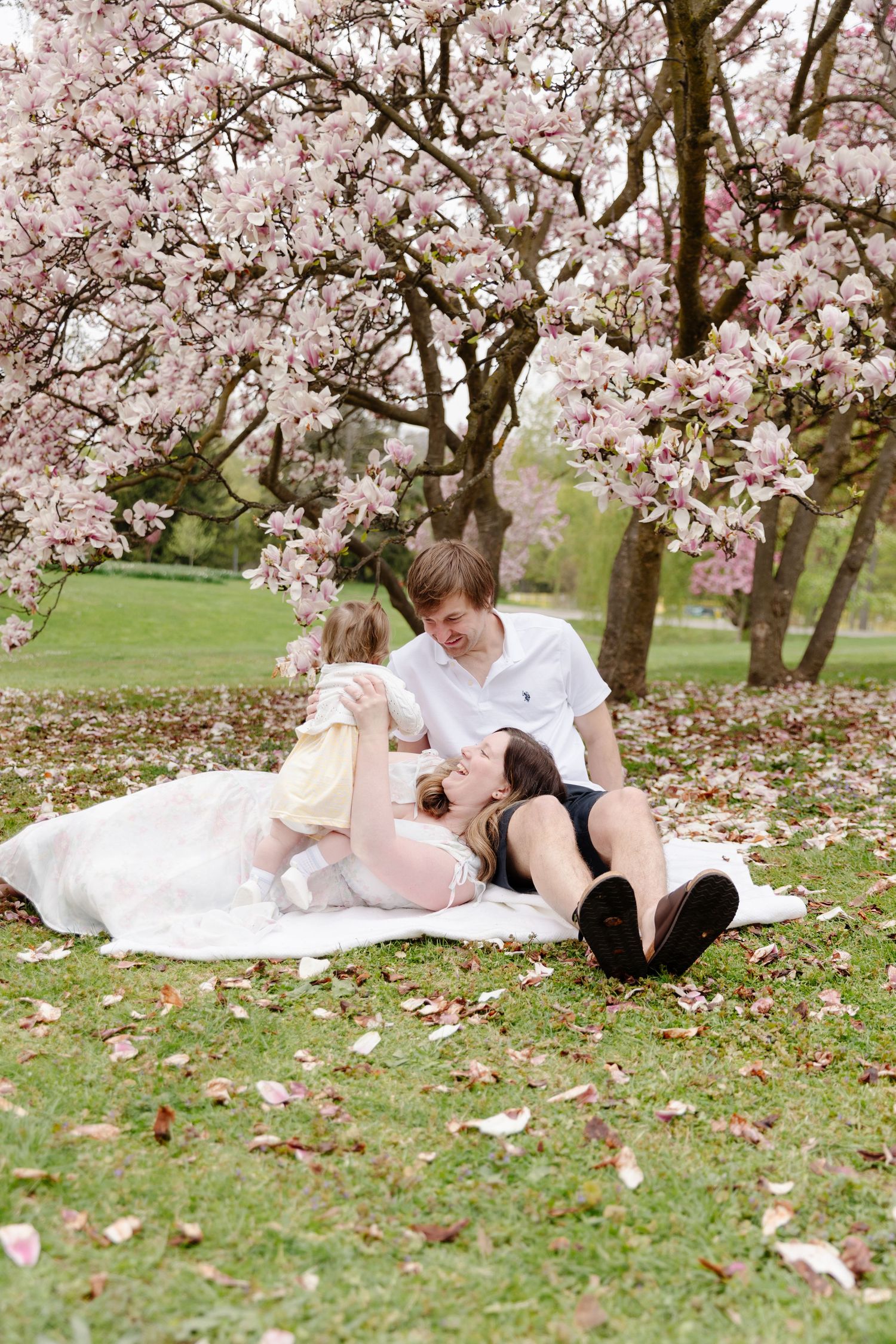 A couple lies on a white blanket under blooming cherry blossom trees in a spring garden setting.