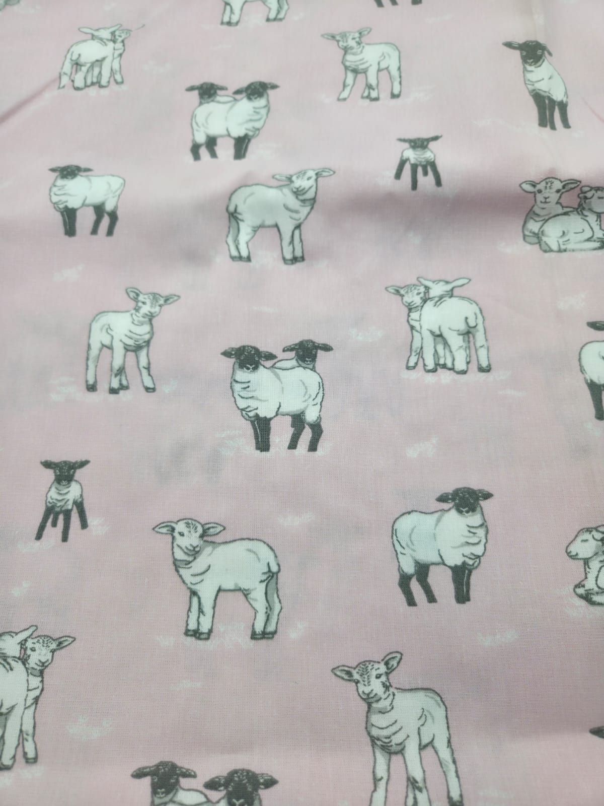 Seamless pattern of cute baby lambs in mint green and gray colors on a pale pink background.