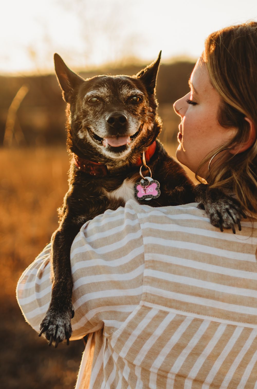Happy black dog with pink collar tag smiles while being held in striped shirt at golden sunset.