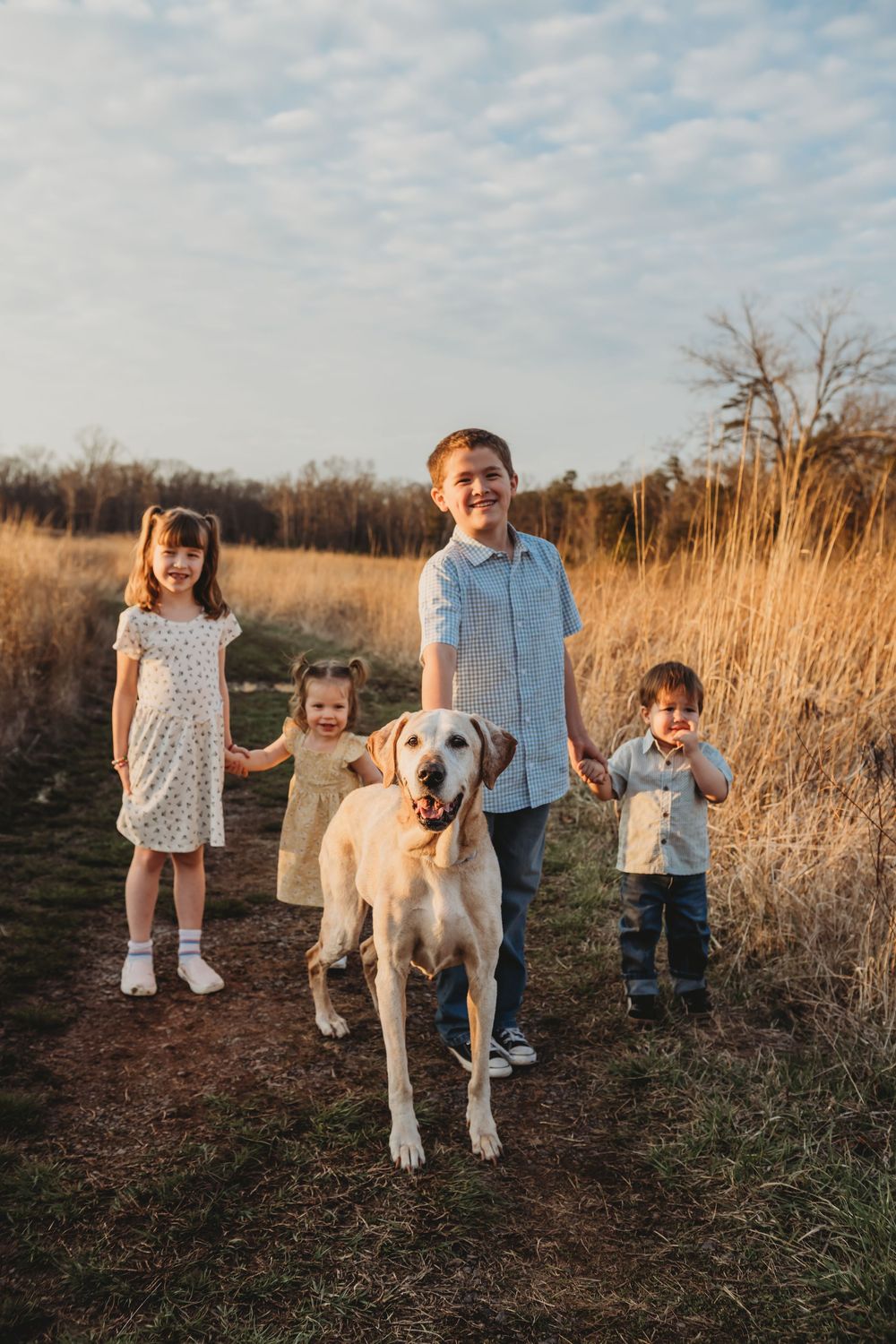 Four children pose outdoors with a yellow Labrador in a golden field at sunset.