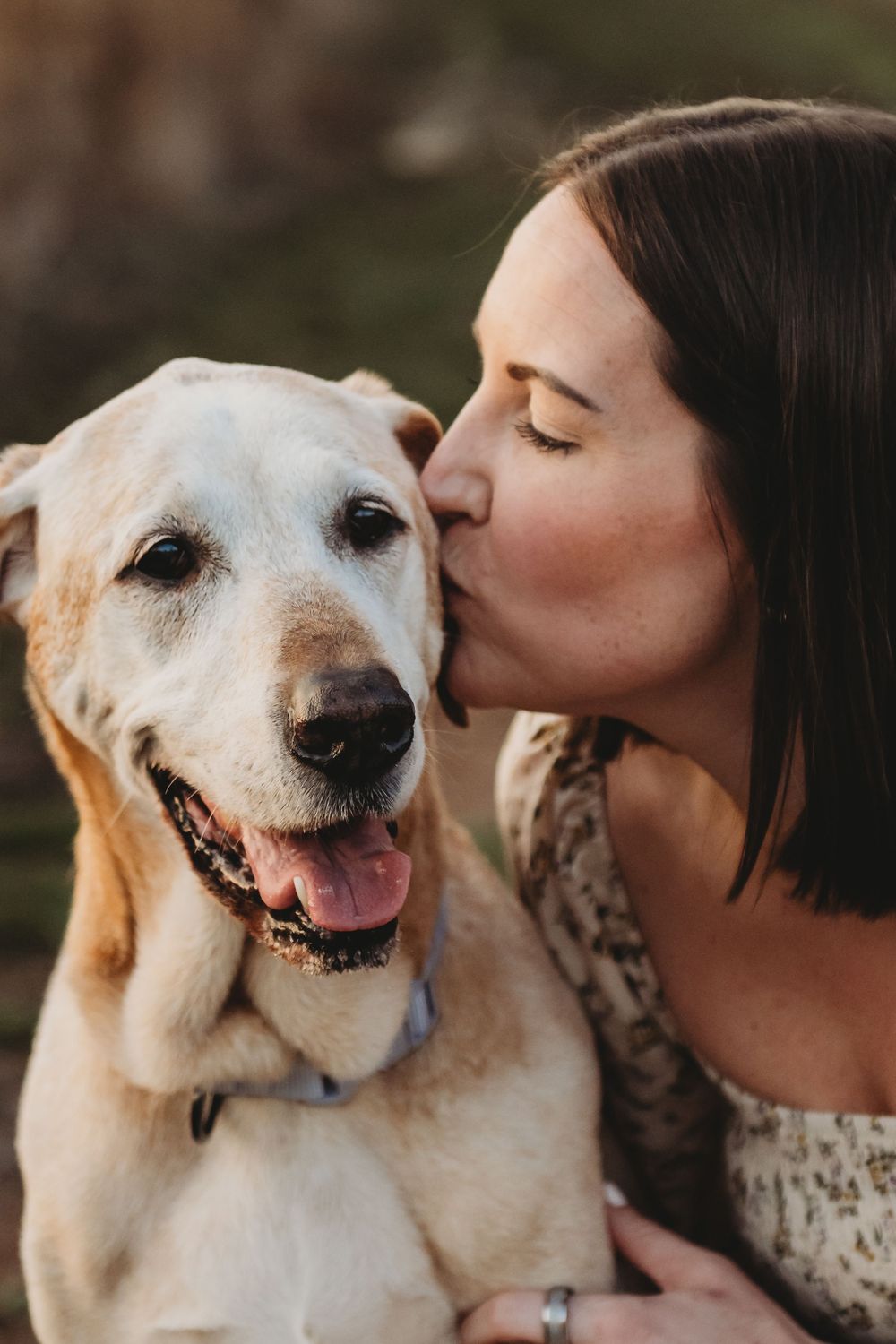 Woman kissing her senior yellow Labrador retriever dog on the head in a tender moment outdoors.