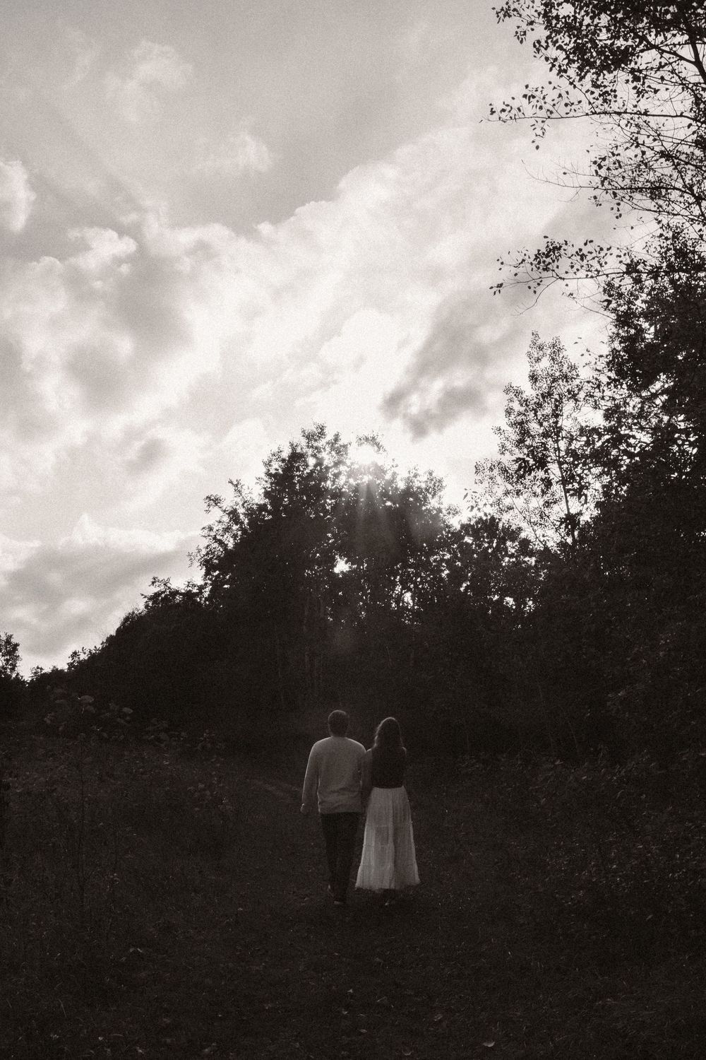 A silhouetted scene against a cloudy sky with trees in the background.