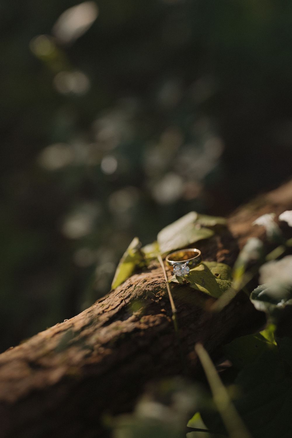 Close-up detail shot of wedding rings resting on natural wood texture.