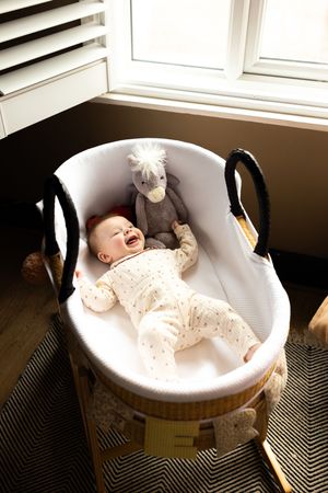 Happy baby laughing in a wicker Moses basket with a stuffed zebra toy near a bright window.