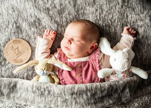 A peaceful newborn baby in a pink outfit sleeps in a basket with bunny toys and a milestone disc.
