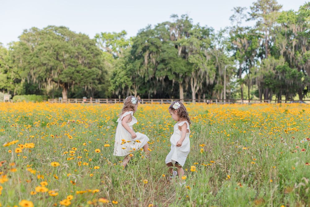 Two people in white dresses walk through a vibrant yellow wildflower field with Spanish moss-draped oak trees in background.